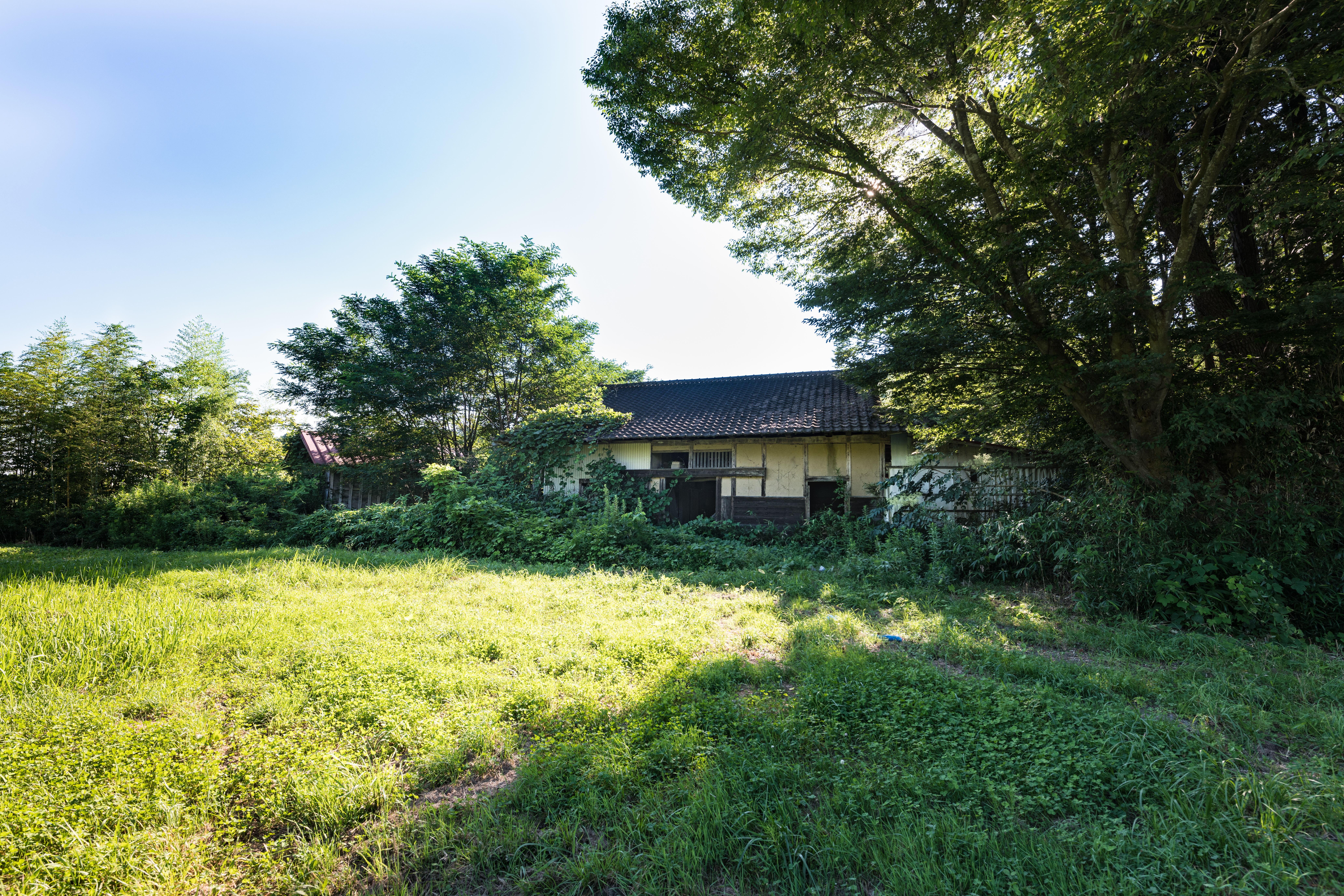 【建て替えできない】再建築不可物件を処分する現実的な方法と専門業者引き取りのメリット