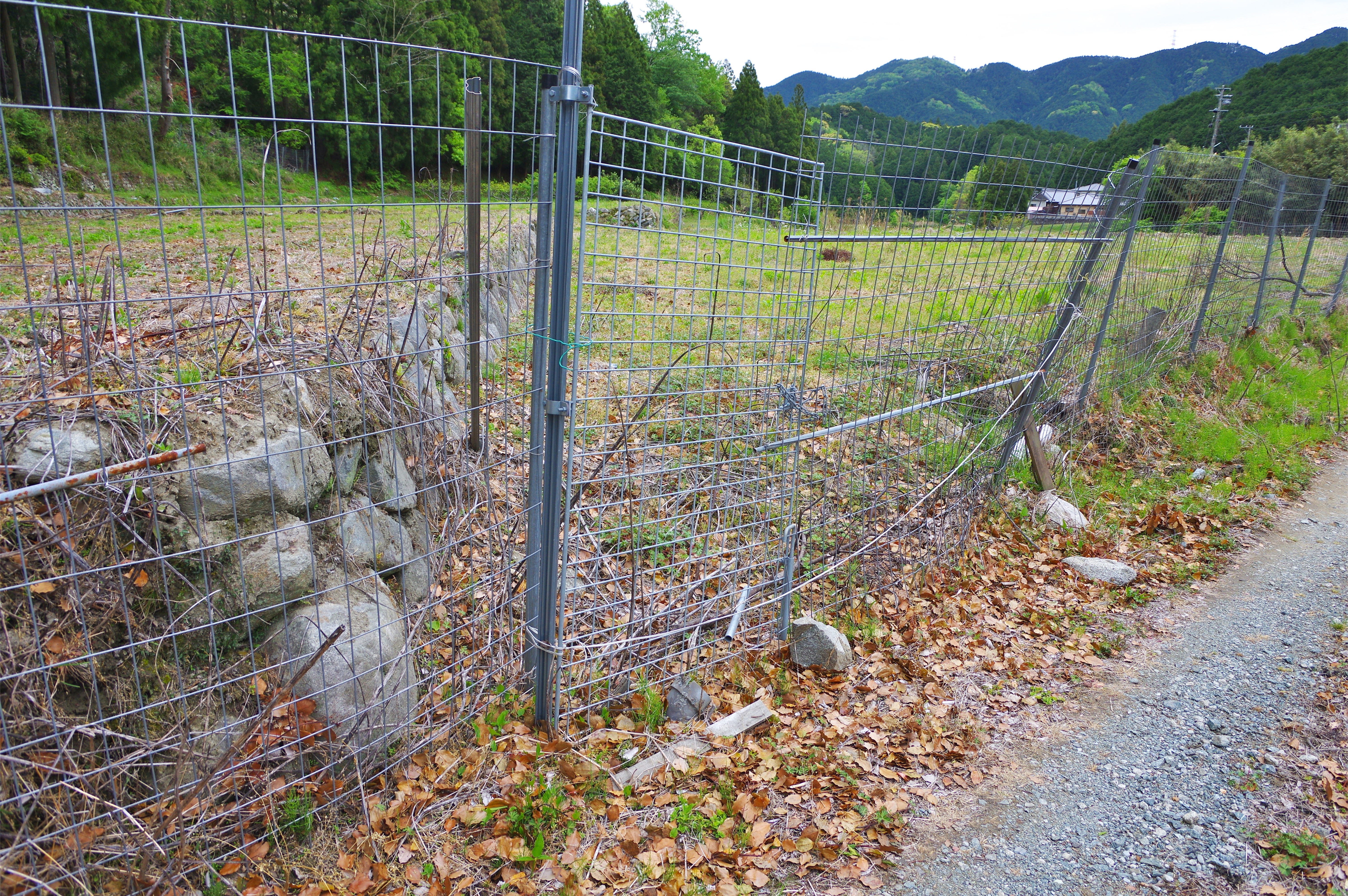 相続した土地、もう手放したい…そんな時の新しい選択肢「相続土地国庫帰属制度」