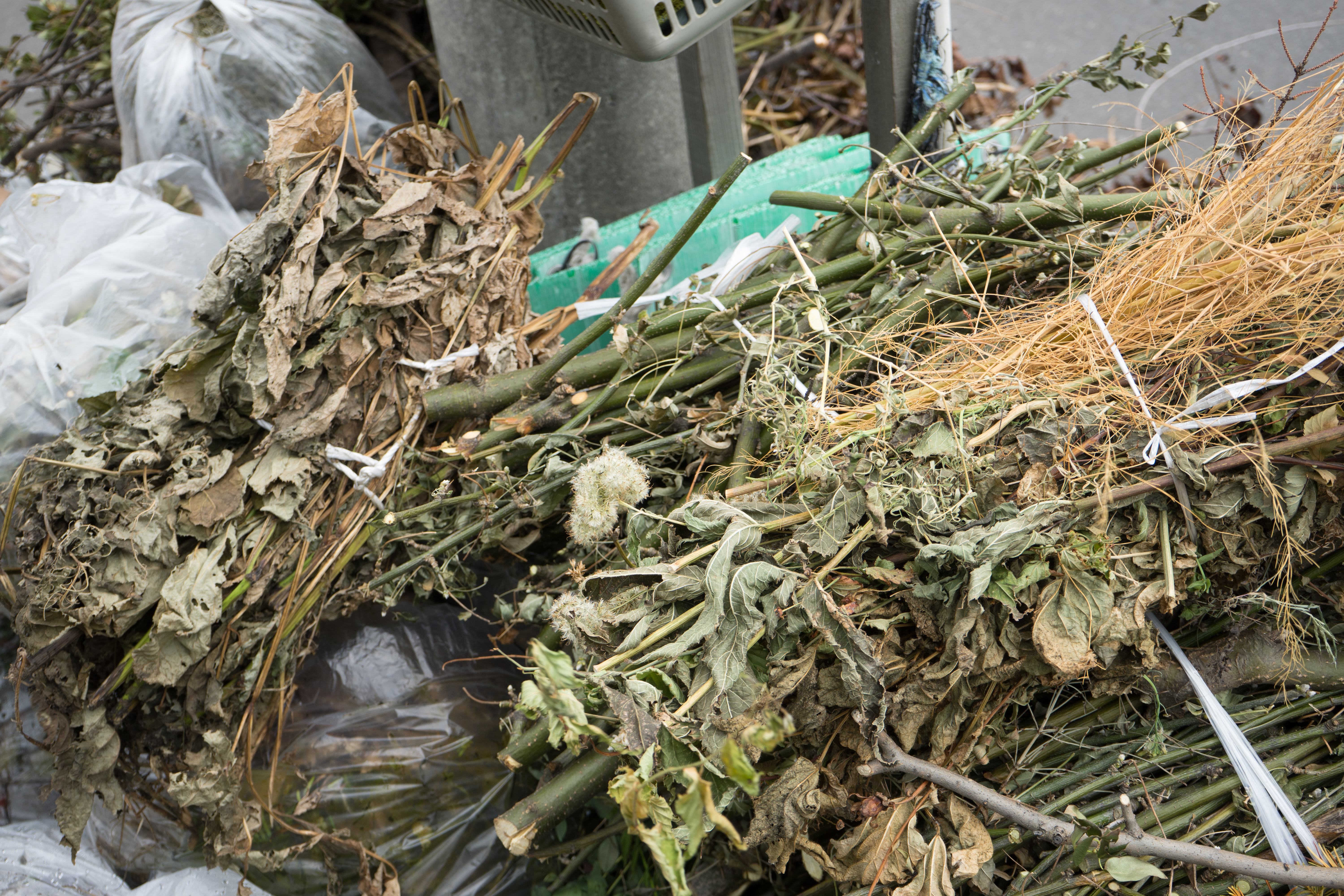 遠方の不動産管理に限界を感じたら。草刈り・ゴミ捨ての負担をゼロにする根本的な解決策